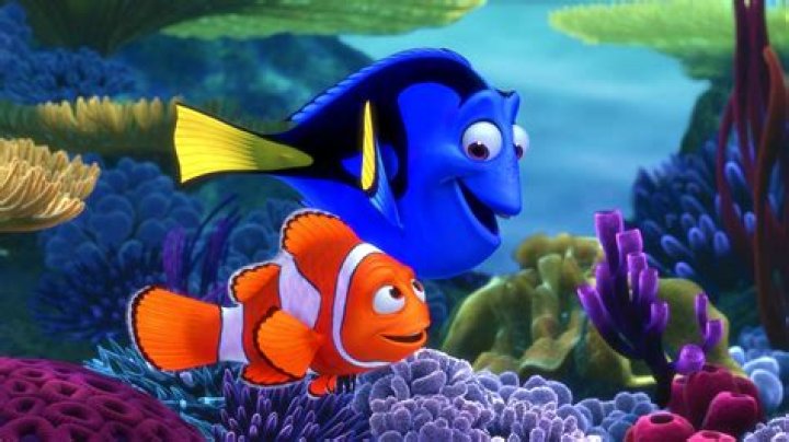 Are Dory and Marlin in love?