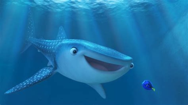 finding dory