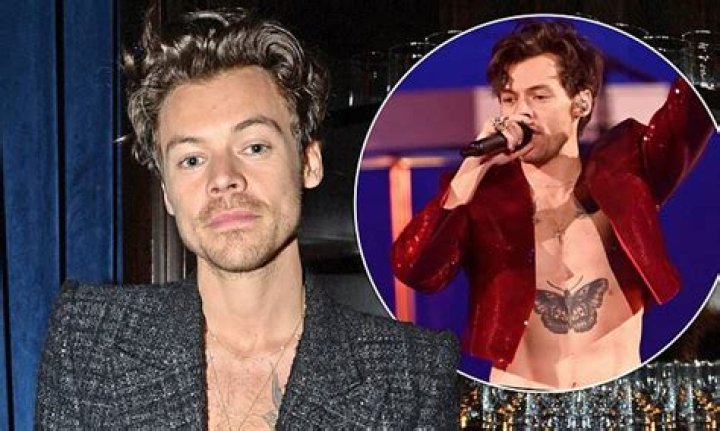 Harry Styles Net Worth