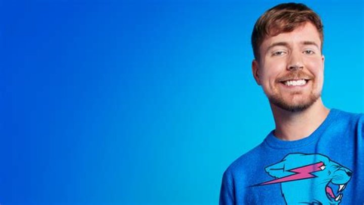 Image result for mrbeast net worth