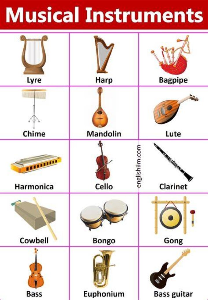 instrument
