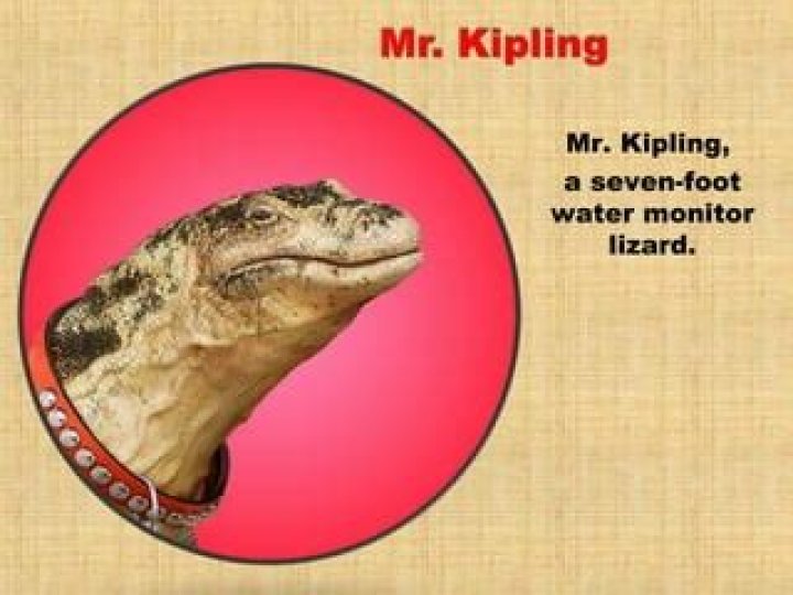 Is Mr Kipling real in Jessie?