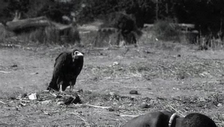 Kevin Carter