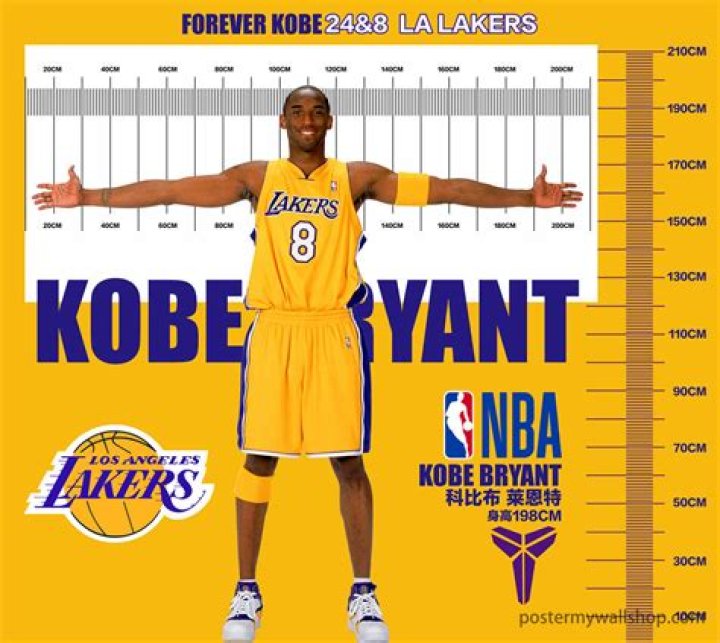 Kobe Bryant Height and Weight