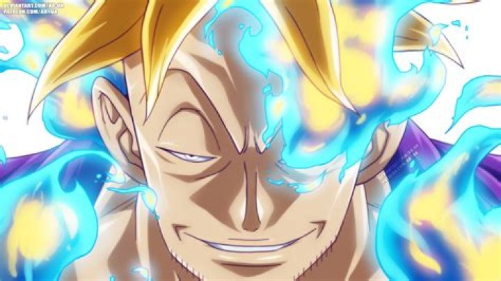 Marco One Piece