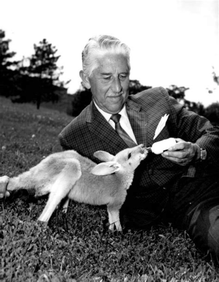 Marlin Perkins Marlin Perkins