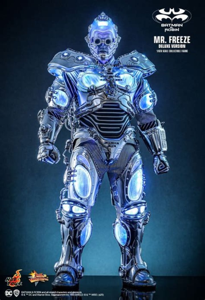 Mr. Freeze Batman Robin