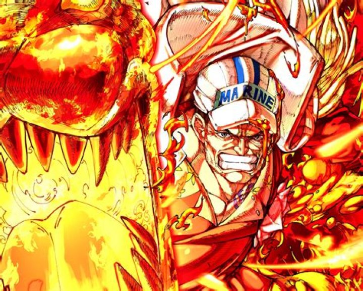 One Piece Akainu