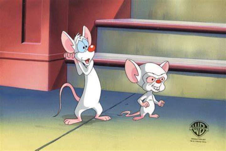 Pinky and the Brain