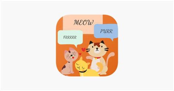 talk-to-cat