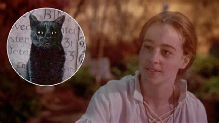 Thackery Binx in Hocus Pocus