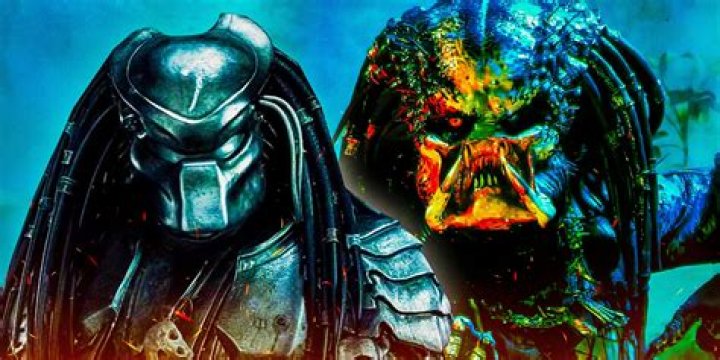 The Predator