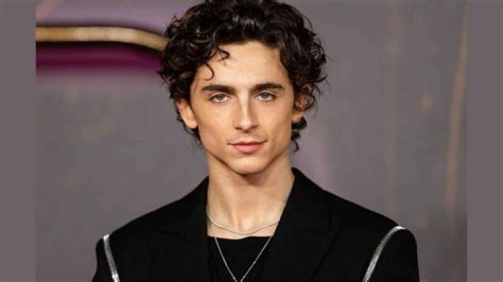 Timothee Chalamet net worth: Bio, age, height, girlfriend, movies