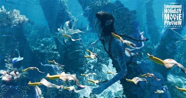 underwater